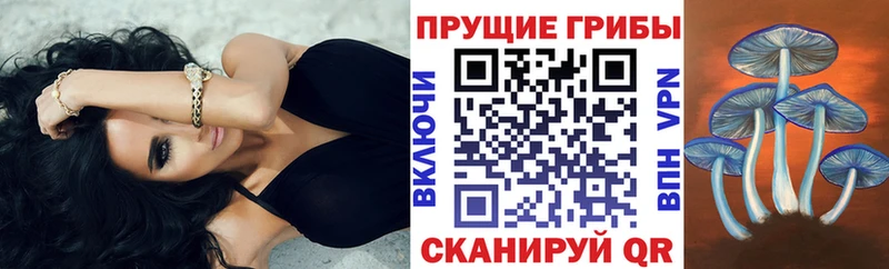 Псилоцибиновые грибы прущие грибы  Свирск 